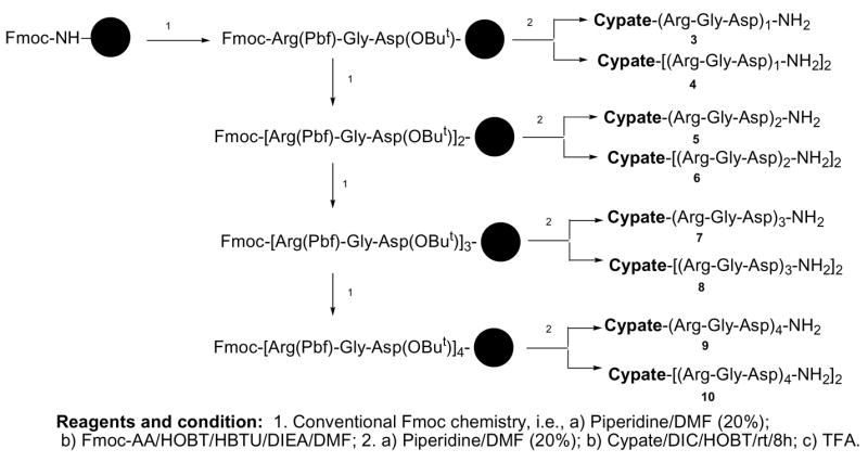 Scheme 1