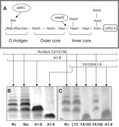 FIG. 3.