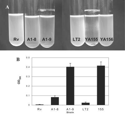 FIG. 7.