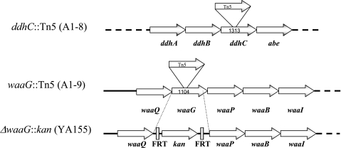 FIG. 2.