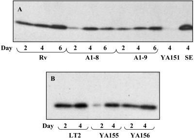 FIG. 5.