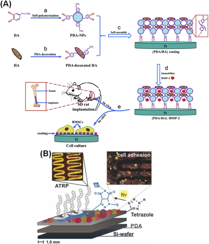 Figure 4