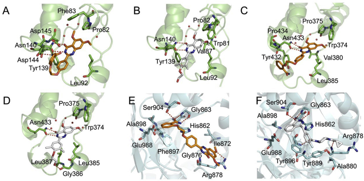 Figure 4