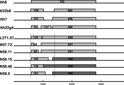 FIG. 2.