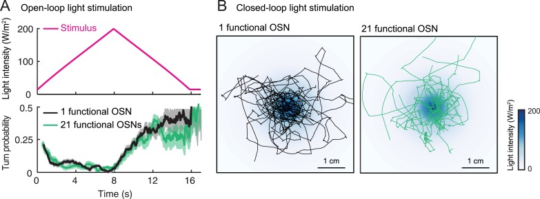 Figure 18.