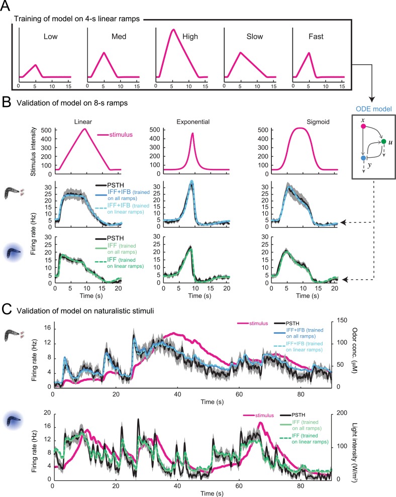 Figure 4—figure supplement 2.