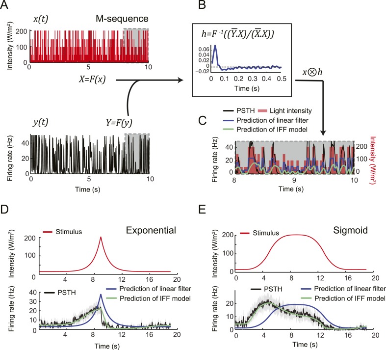 Figure 13.