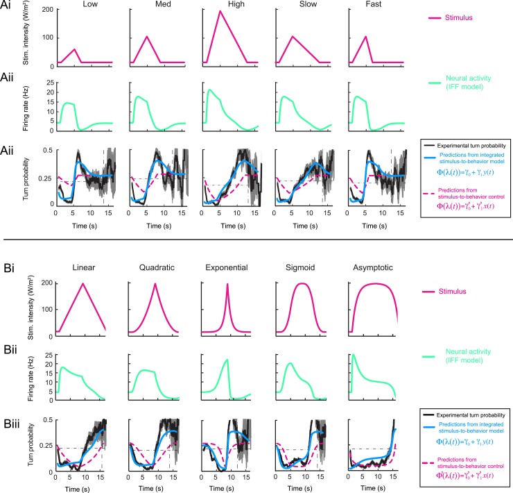 Figure 5—figure supplement 1.