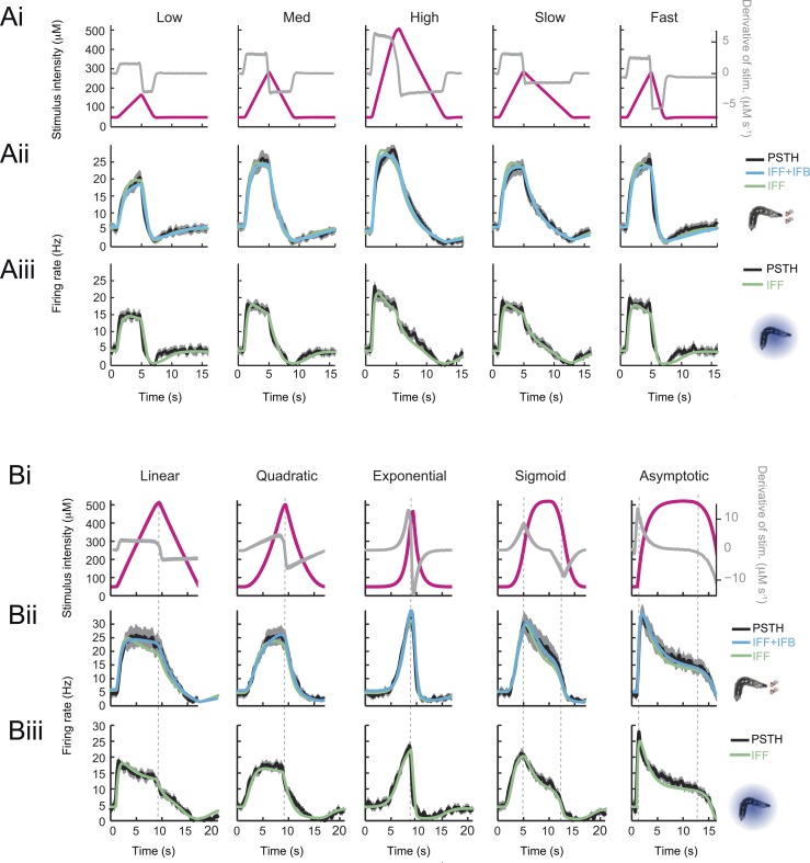 Figure 4—figure supplement 1.