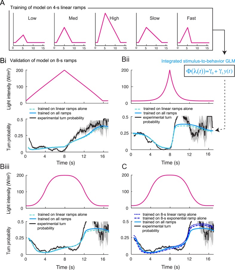 Figure 5—figure supplement 2.