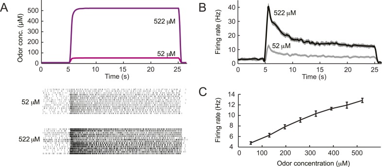 Figure 3—figure supplement 1.