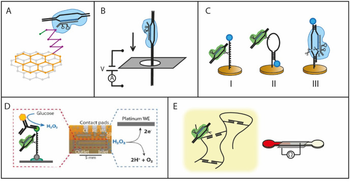 Fig. 7