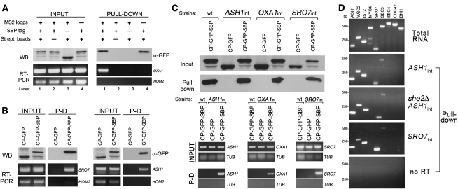 FIGURE 3.