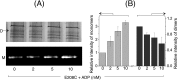 FIGURE 9.