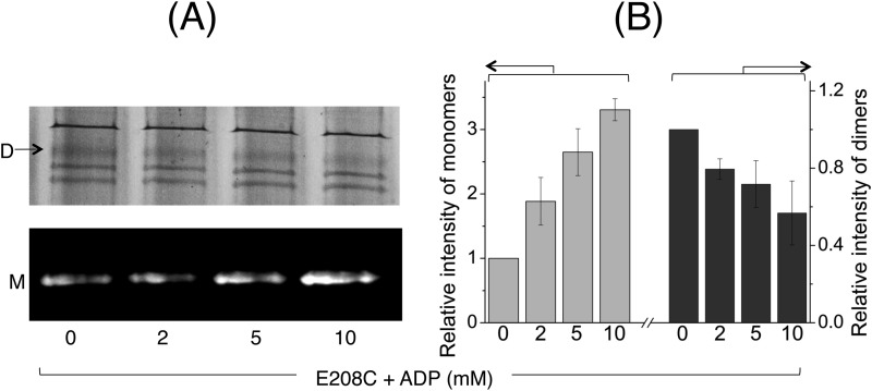 FIGURE 9.