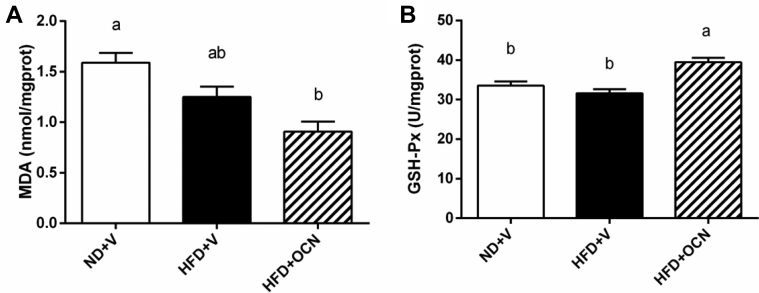 Figure 4