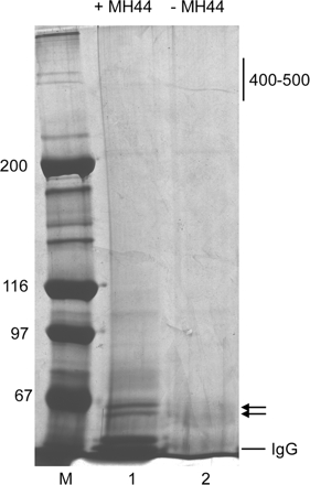 Figure 1.