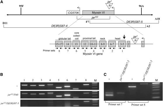 Figure 2.—