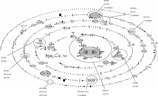 FIG. 1.