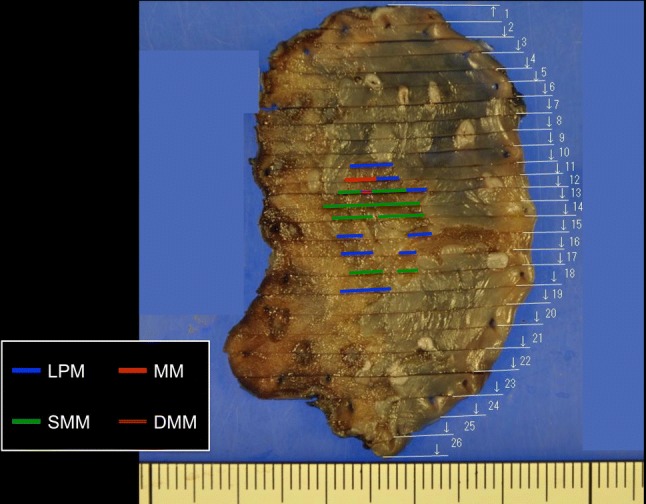 Fig. 7