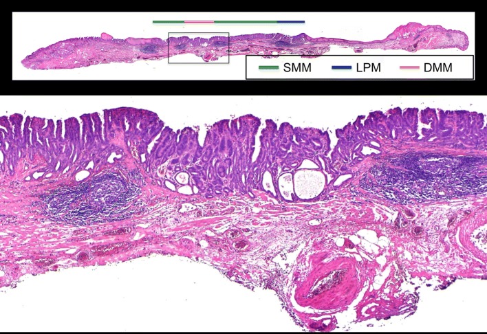 Fig. 6