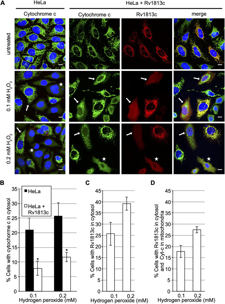 FIG 6