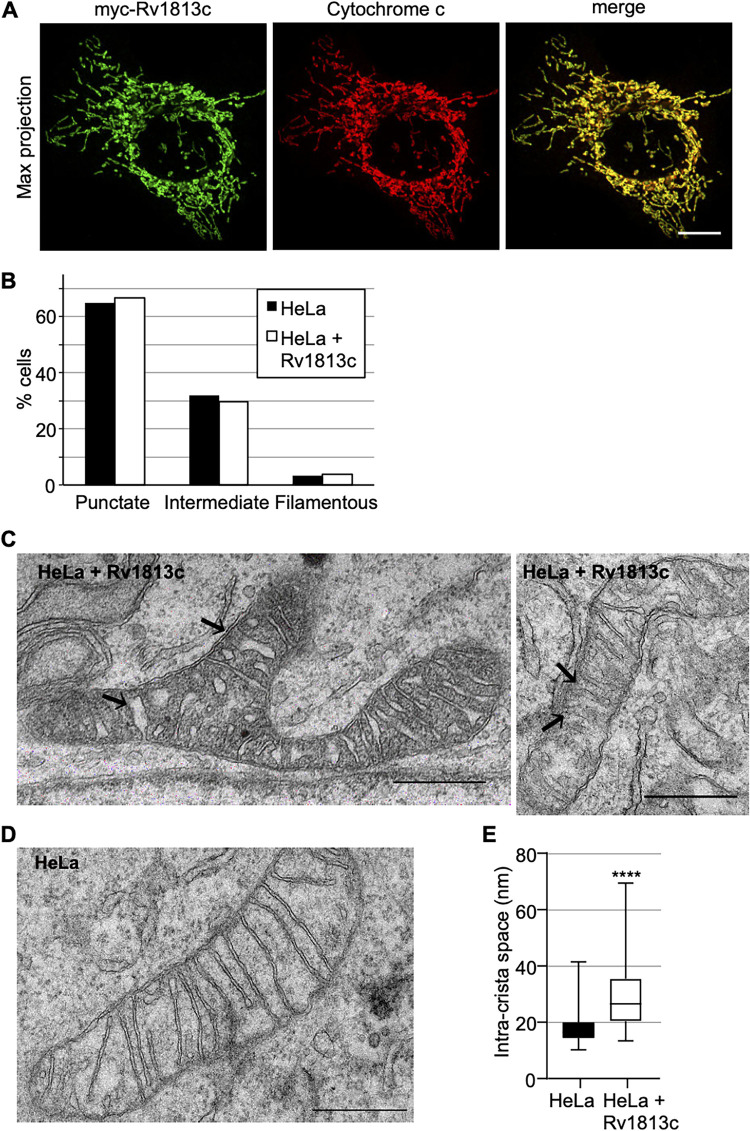 FIG 4