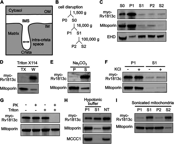 FIG 3