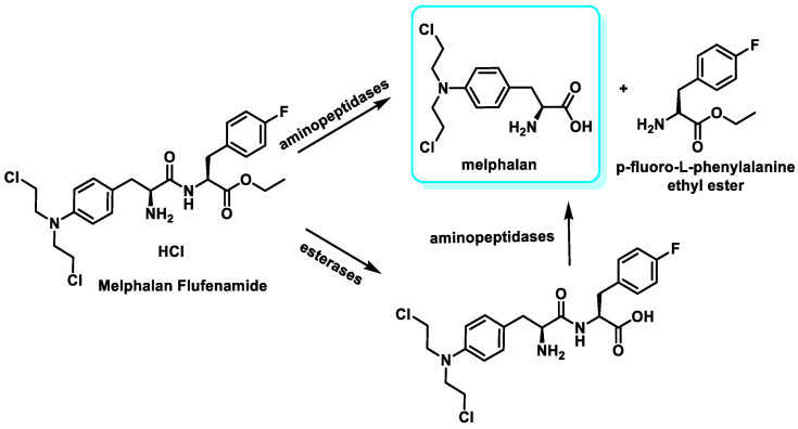 Figure 20