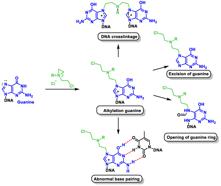 Figure 21