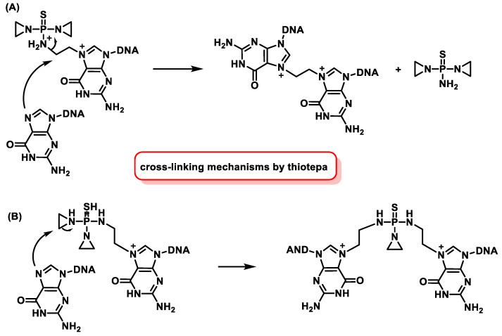 Figure 28