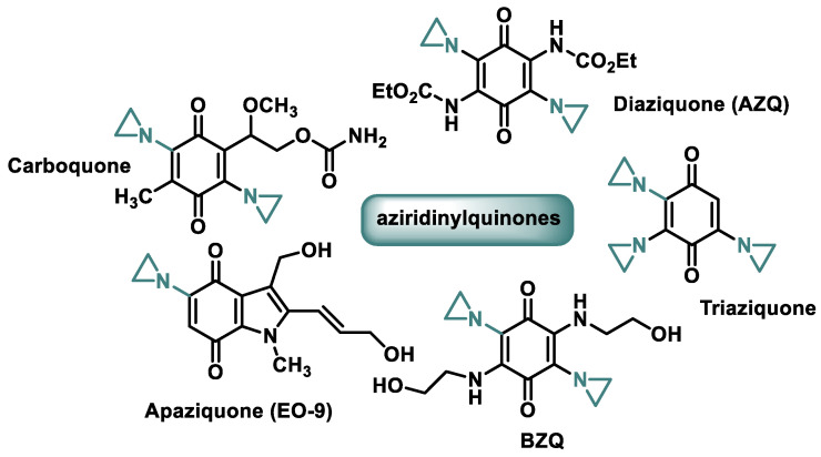 Figure 31