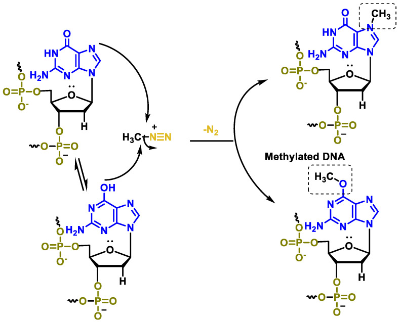 Figure 45