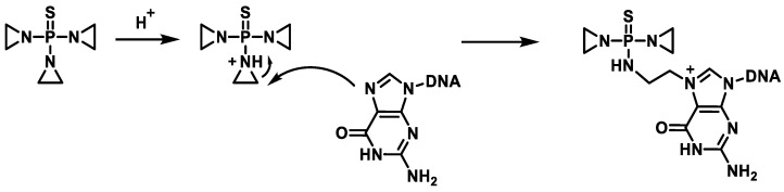 Figure 27