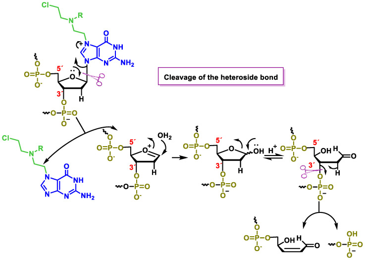 Figure 24