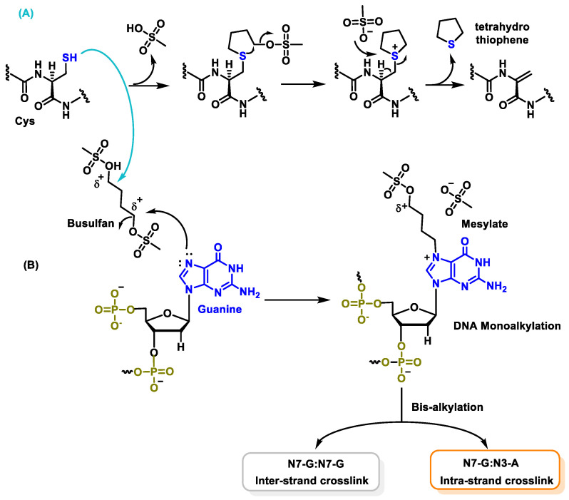 Figure 42