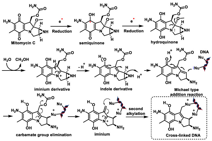 Figure 30