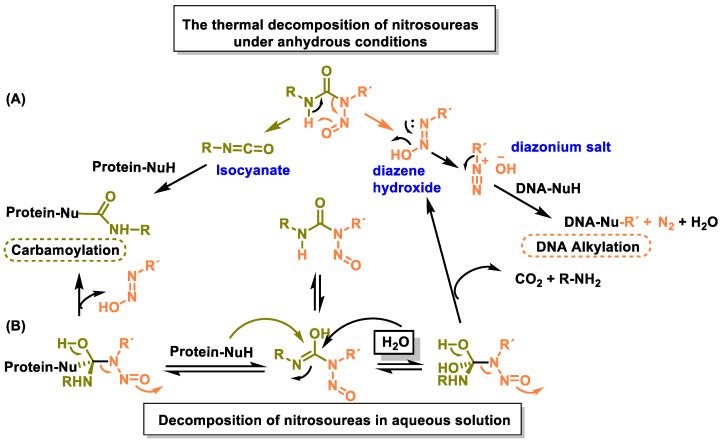 Figure 38