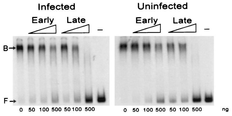 FIG. 6