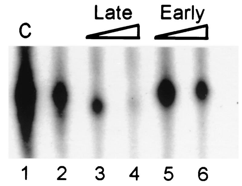 FIG. 7