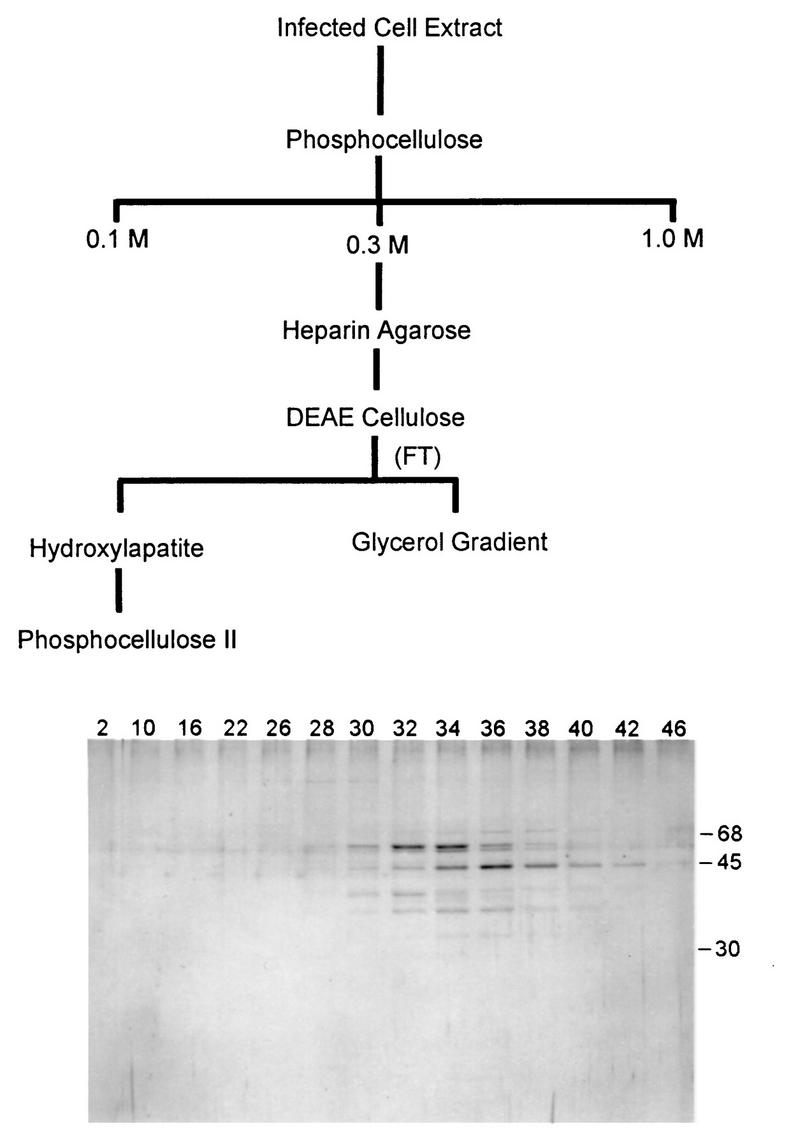 FIG. 1