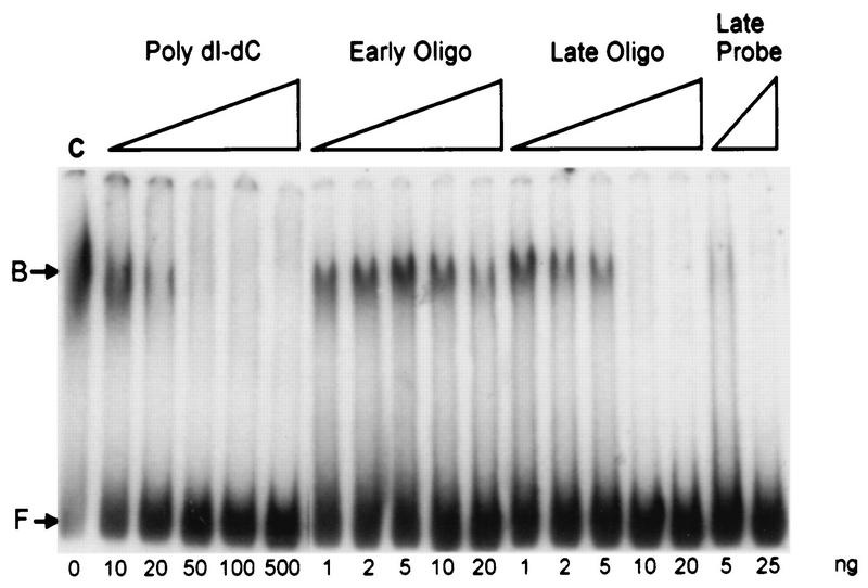 FIG. 5