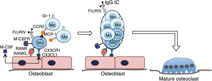 Fig. 3.