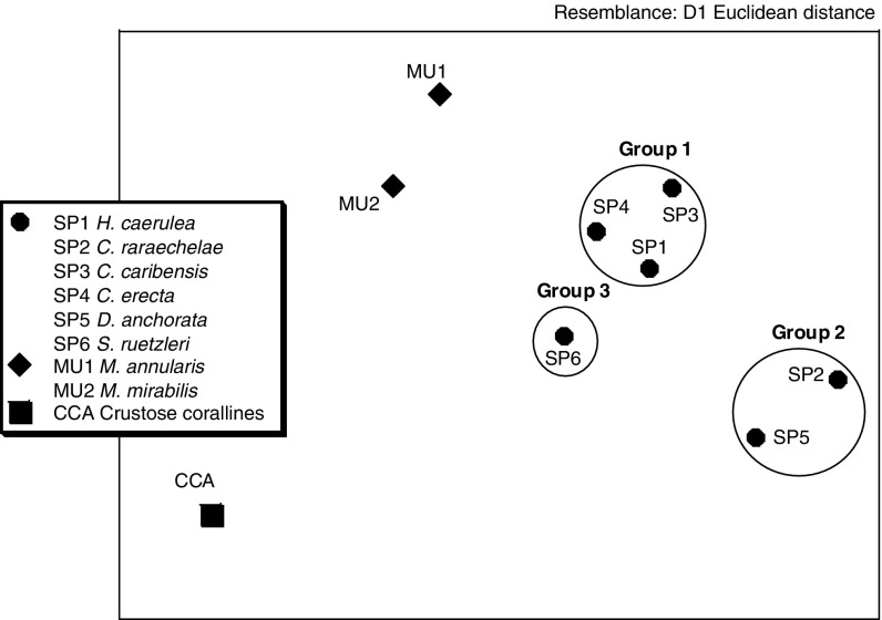 Fig. 4