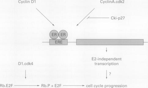 graphic file with name jclinpath00281-0010-a.jpg