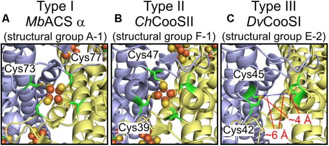 FIGURE 3