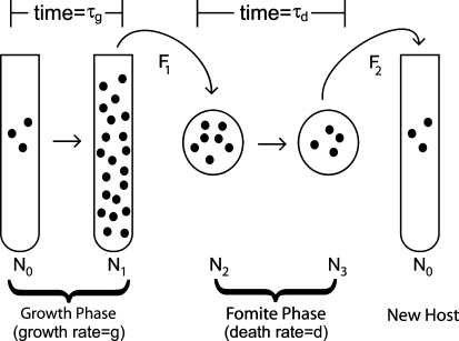 Figure 1.—