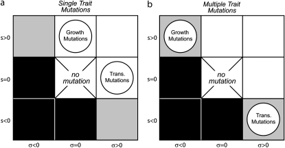 Figure 2.—