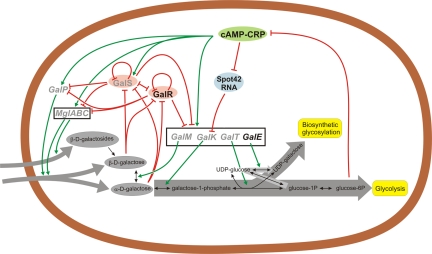 FIG 1 