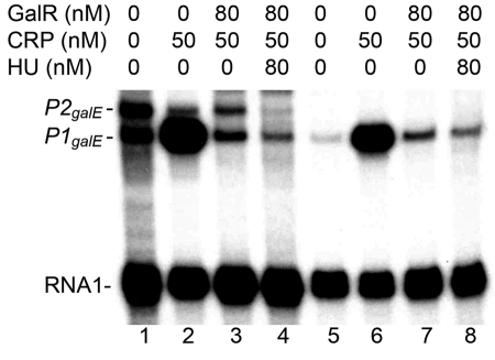 FIG 6 